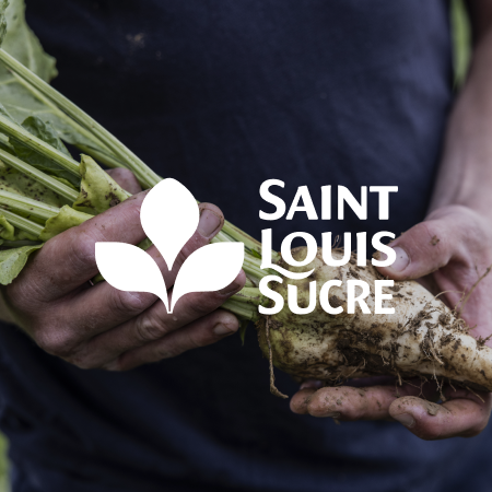 Saint Louis Sucre - Site
