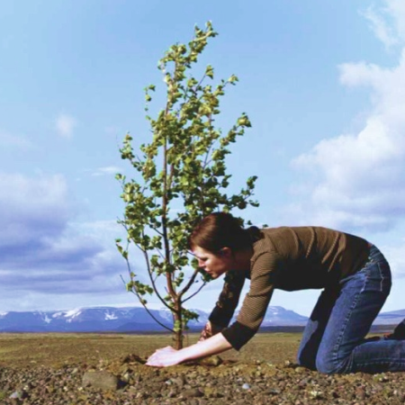 Refonte du site de la Fondation Yves Rocher