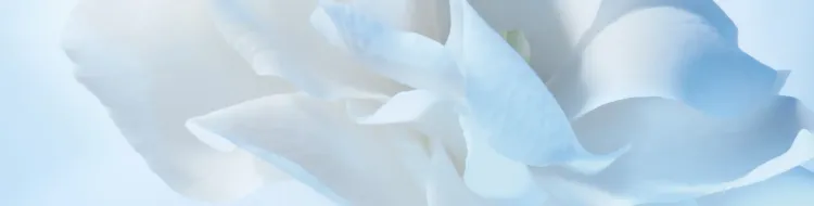 1705509305591-00cover3xjpg.webp