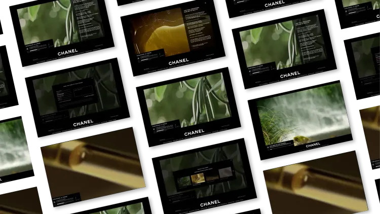 chanel1.webp